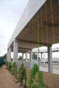 Click to enlarge Trellis system installed at Heathrow Car Park